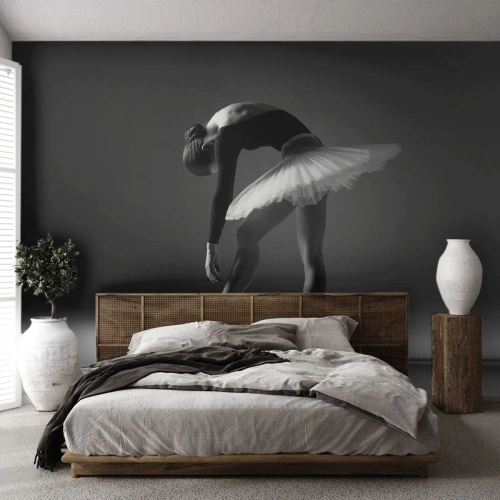 Fototapete Standard Eco - Bella Ballerina - Ballerina, Ballett, Tanzen - 250x175 cm