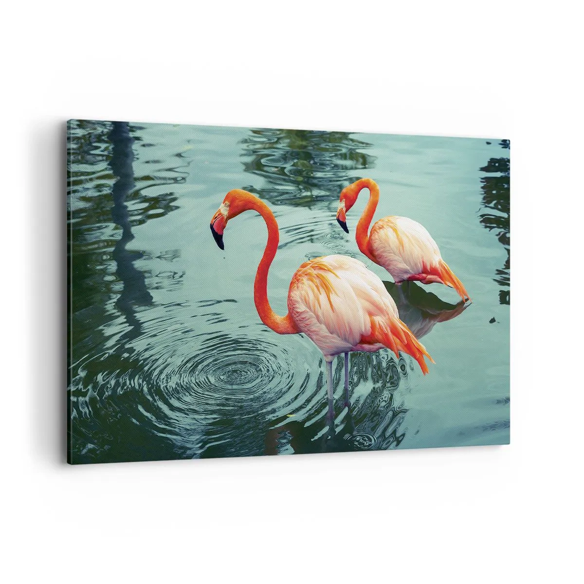 Bild auf Leinwand - Leinwandbild - Zwei Flamingos im ruhigen Wasser spiegeln ihre Umgebung wider - 100x70cm - Wir sind jetzt in Mode - Moderne Wanddekoration für Wohnzimmer und Schlafzimmer ARTTOR