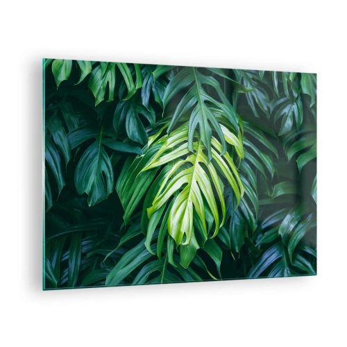 Glasbild - Bild auf glas - Üppig grüne Monstera-Blätter im natürlichen Licht - 70x50cm - Tauchen Sie ein in die Frische - Moderne Wanddekoration für Wohnzimmer und Schlafzimmer ARTTOR