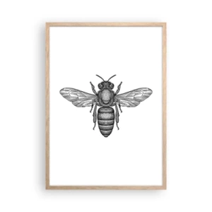Poster in einem Rahmen aus heller Eiche - Insektenporträt - 50x70 cm