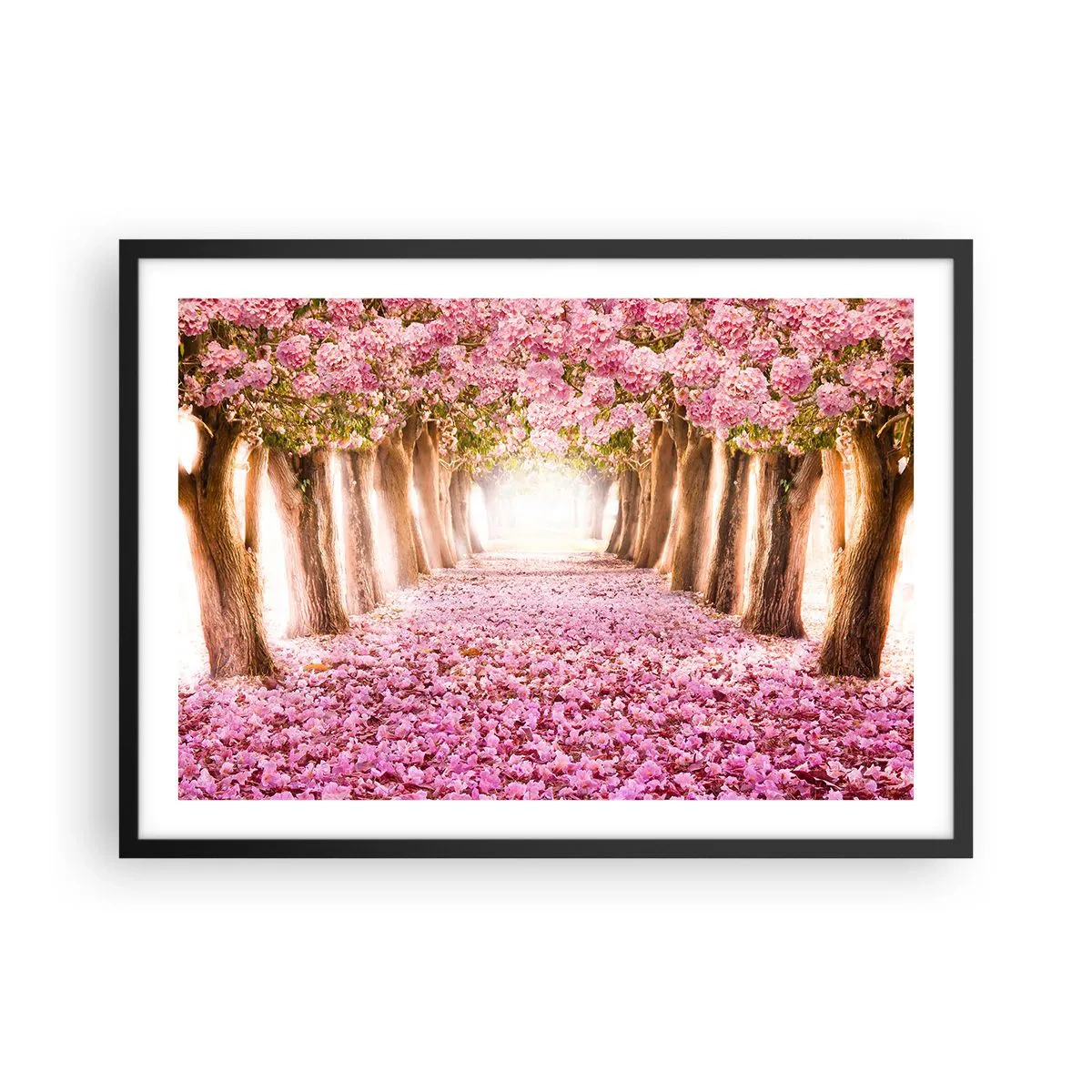 Poster in einem schwarzem Rahmen - Eine Allee blühender Bäume in Rosatönen - 70x50cm - Der Weg ins Paradies - Moderne Wanddekoration für Wohnzimmer und Schlafzimmer ARTTOR