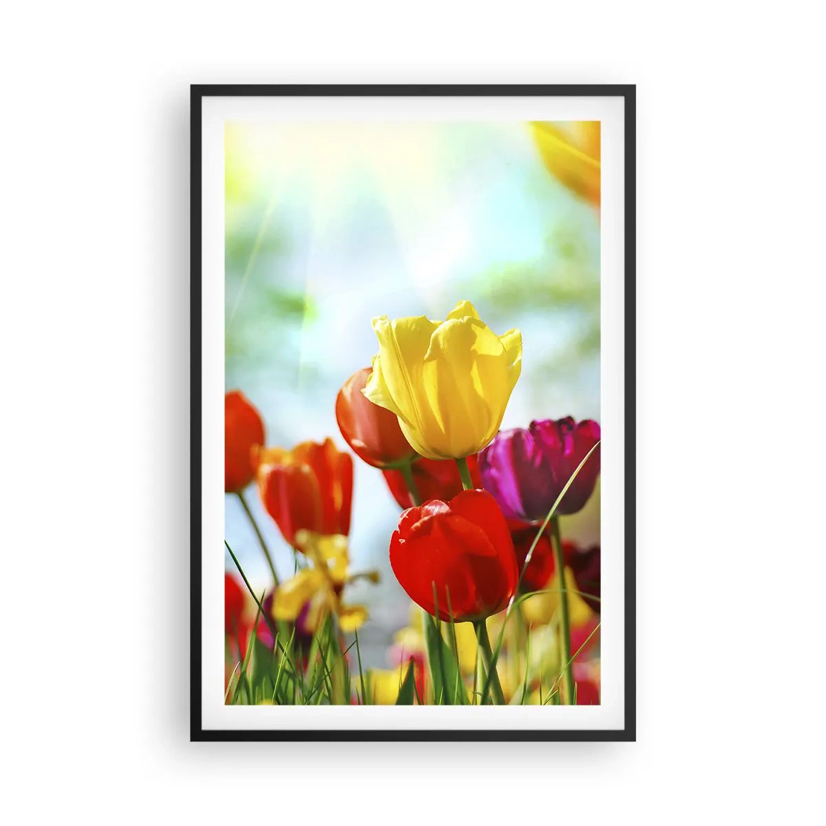 Poster in einem schwarzem Rahmen - Alle Farben der Sonne - 61x91 cm