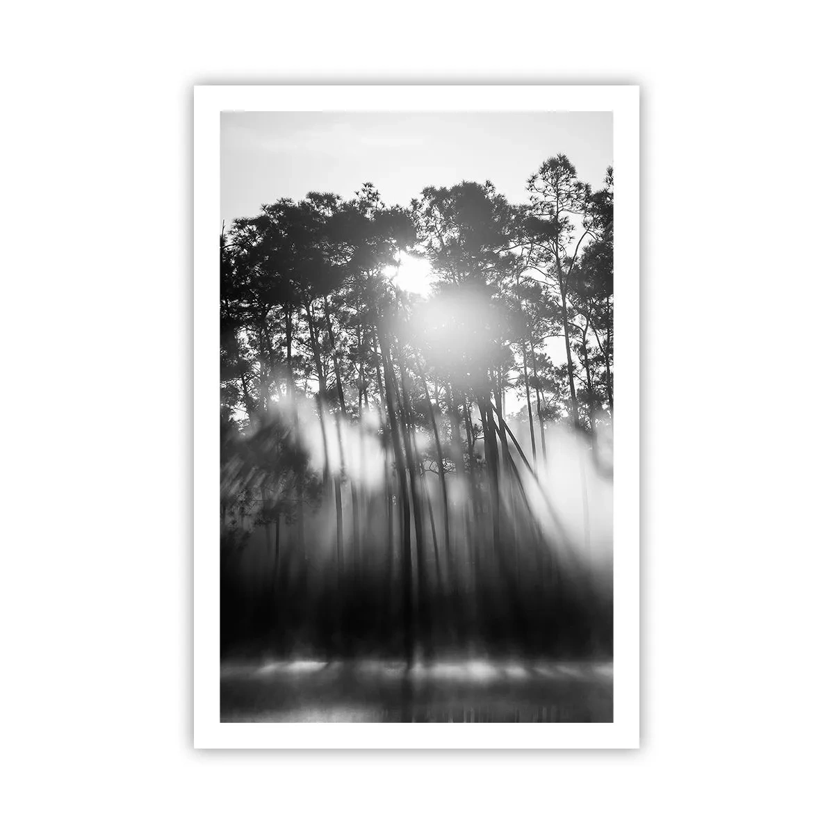 Poster - Unaufhaltsame Sonne - 61x91 cm