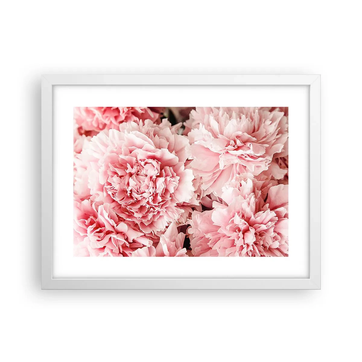 Poster in einem weißen Rahmen - Rosa Traum - 40x30 cm