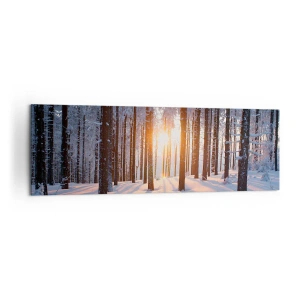 Bild auf Leinwand - Leinwandbild - Winterwald, beleuchtet von den Sonnenstrahlen - 160x50cm - Ganz klar schwarz auf weiß - Moderne Wanddekoration für Wohnzimmer und Schlafzimmer ARTTOR