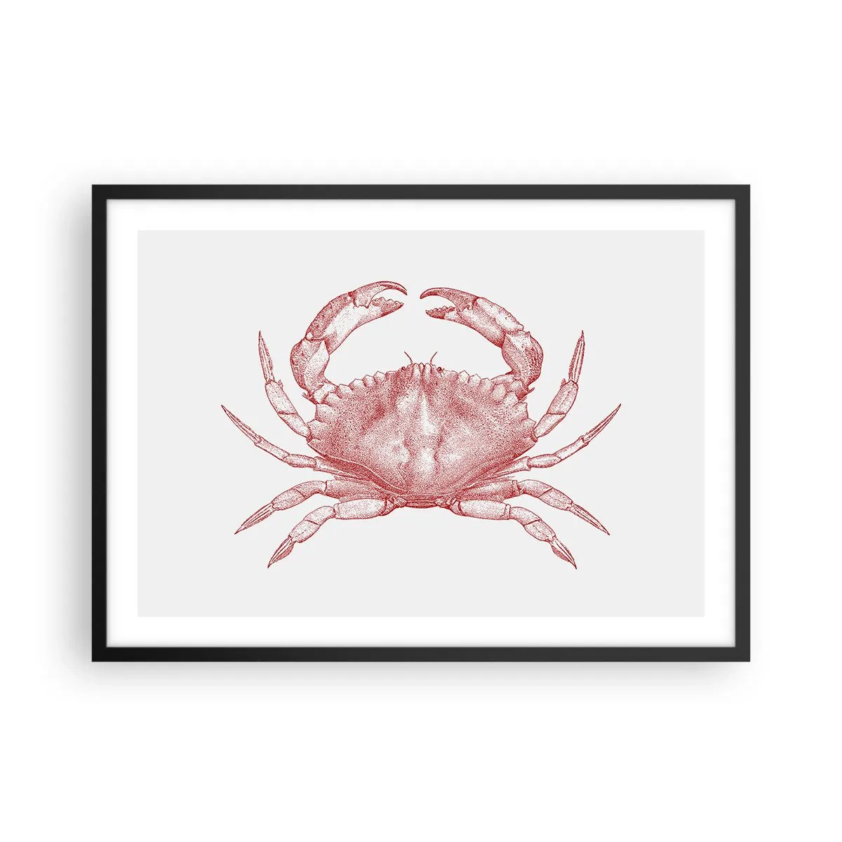 Poster in einem schwarzem Rahmen - Zeichnung einer Krabbe in einem roten Farbton - 70x50cm - Krabbe aller Krabben - Moderne Wanddekoration für Wohnzimmer und Schlafzimmer ARTTOR