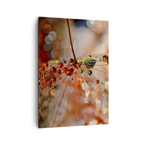 Bild auf Leinwand - Leinwandbild - Makrofotografie eines Wassertropfens auf einer zarten Pflanze - 50x70cm - Auf einem Spinnenfaden aufgefädelt - Moderne Wanddekoration für Wohnzimmer und Schlafzimmer ARTTOR