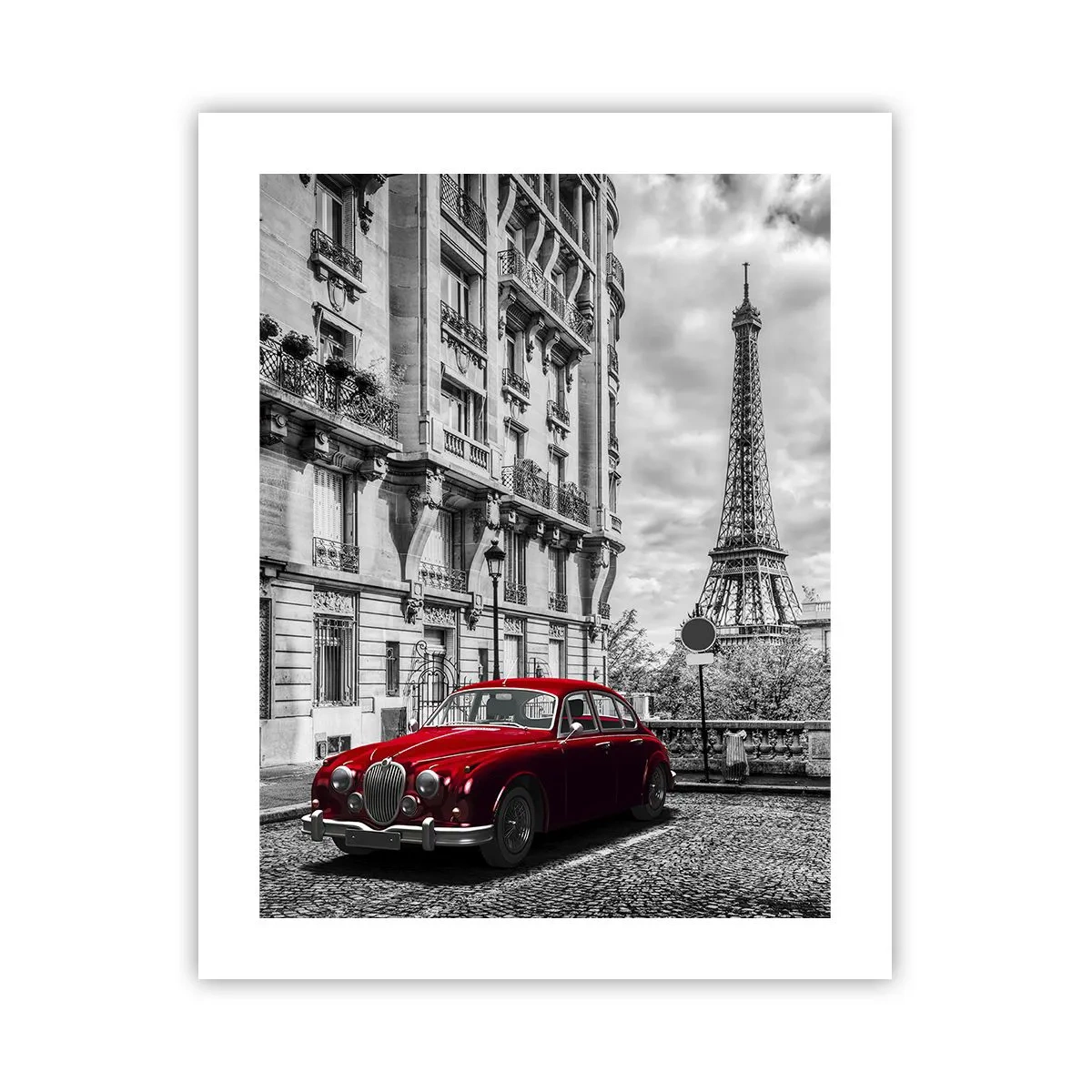 Poster - Raubtier in der Stadt - 40x50 cm