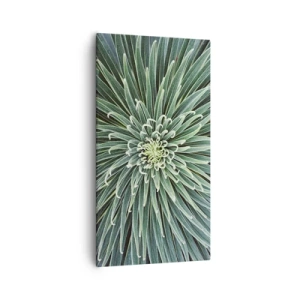 Bild auf Leinwand - Leinwandbild - Ein Star ist geboren - 55x100 cm