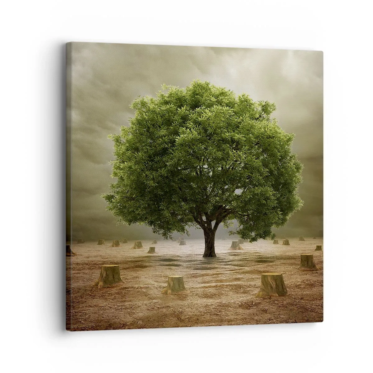 Bild auf Leinwand - Leinwandbild - Alle Hoffnung - 30x30 cm