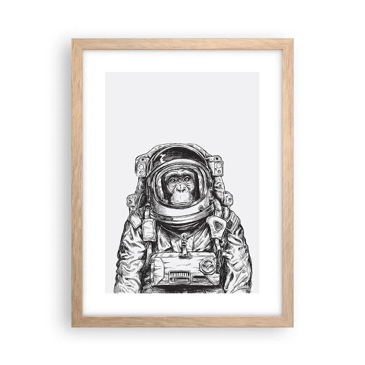 Poster in einem Rahmen aus heller Eiche - Alternative Evolution - 30x40 cm