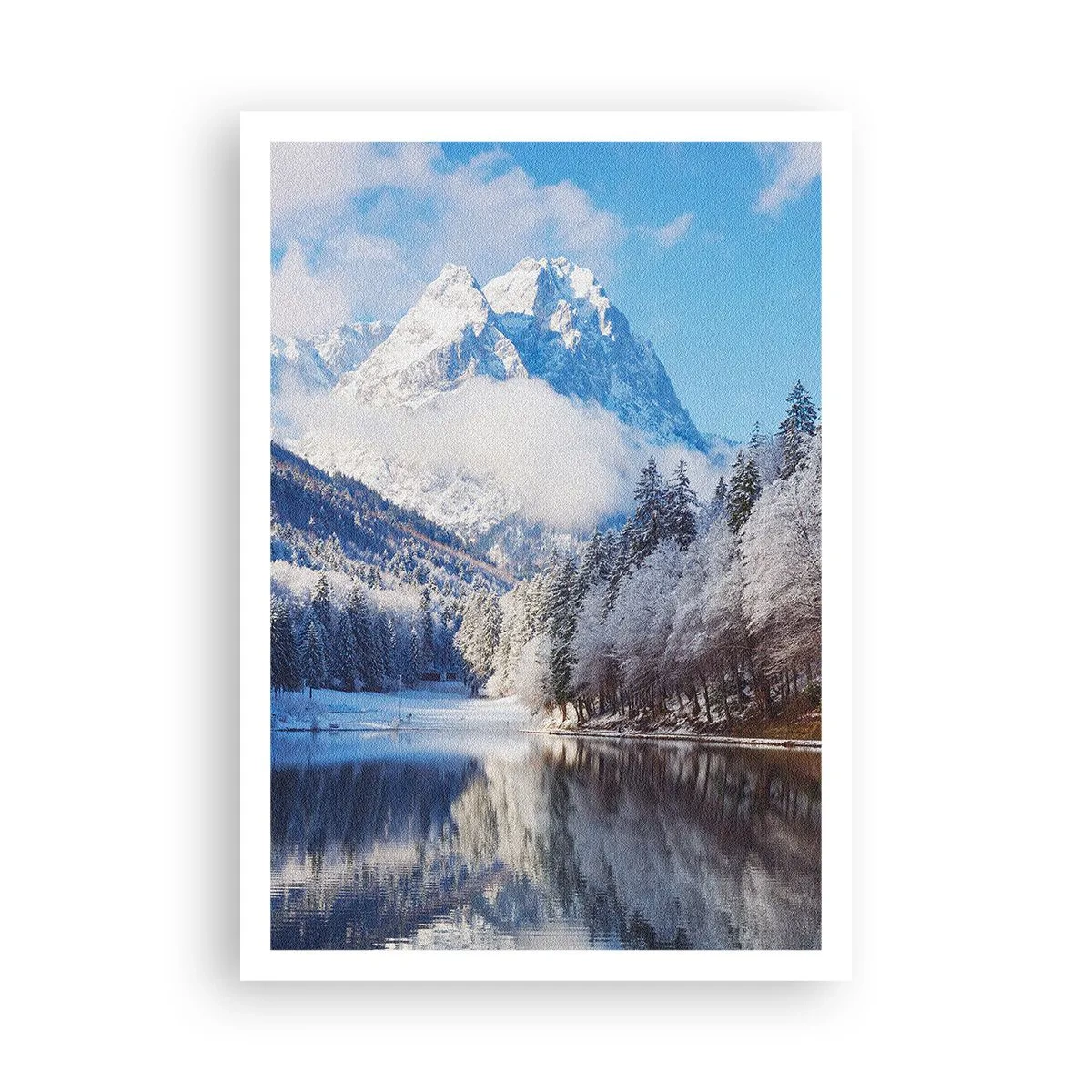Poster - Schneefang - 70x100 cm