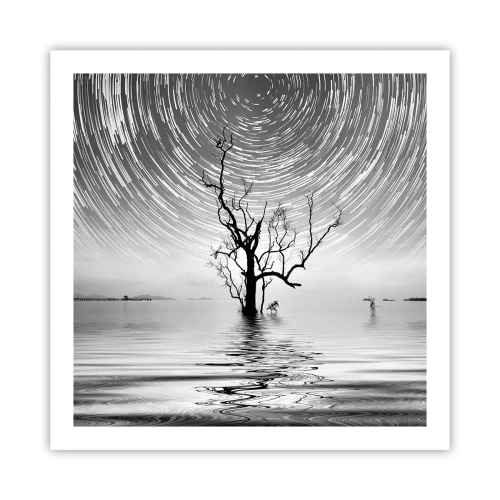 Poster - Eine Sinfonie der Natur - 60x60 cm