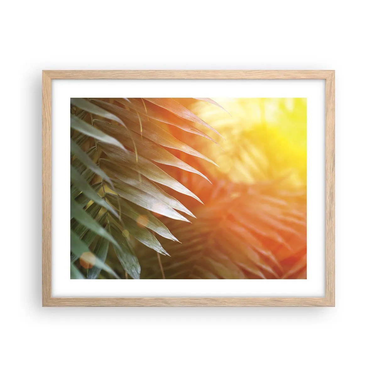 Poster in einem Rahmen aus heller Eiche - Morgen im Dschungel - 50x40 cm