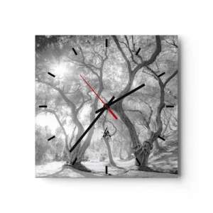 Wanduhr - Glasuhr - Schwarz-Weiß-Ansicht von Bäumen in einem Olivenhain mit Sonnenstrahlen - 30x30cm - Im Olivenhain - Moderne Wanddekoration für Wohnzimmer und Schlafzimmer ARTTOR