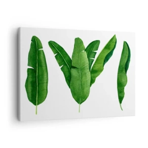 Bild auf Leinwand - Leinwandbild - Drei Bananenblätter in künstlerischer Umsetzung - 70x50cm - Grüne Symmetrie - Moderne Wanddekoration für Wohnzimmer und Schlafzimmer ARTTOR