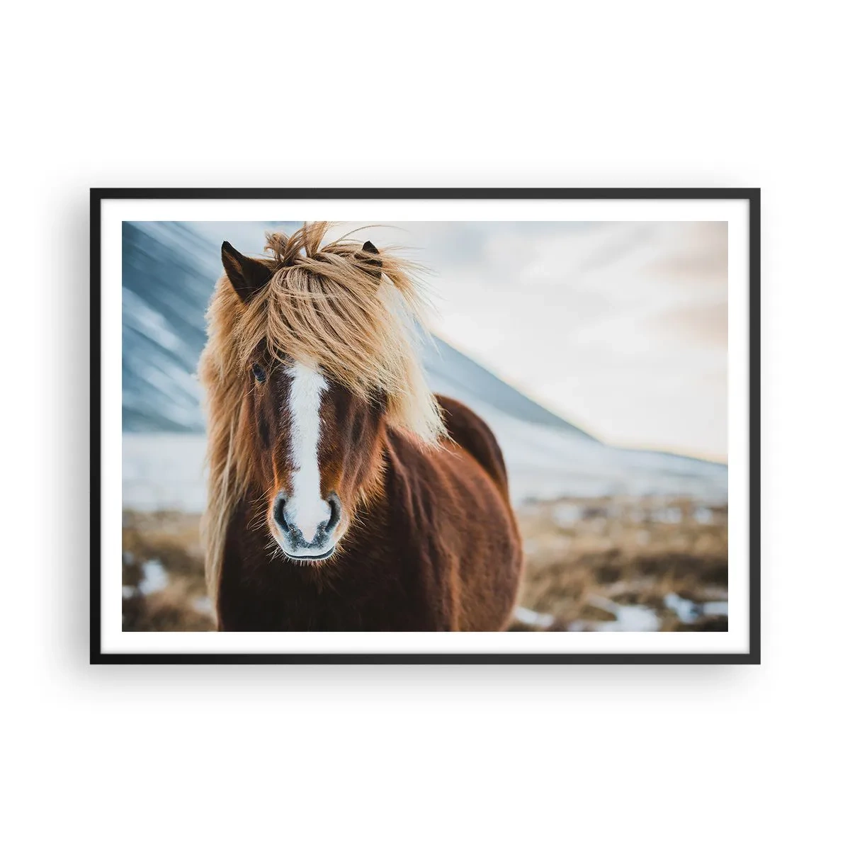 Poster in einem schwarzem Rahmen - Islandpferd vor einer Berglandschaft - 100x70cm - Spürst du die Freiheit? - Moderne Wanddekoration für Wohnzimmer und Schlafzimmer ARTTOR