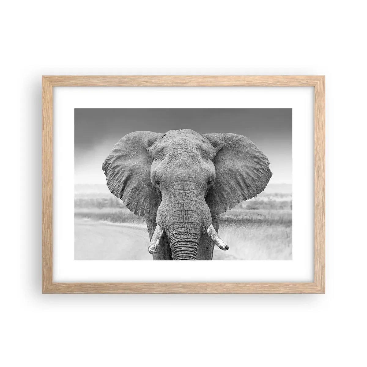 Poster in einem Rahmen aus heller Eiche - Willkommen in meiner Welt - 40x30 cm