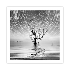 Poster - Eine Sinfonie der Natur - 60x60 cm