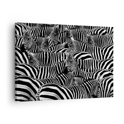 Bild auf Leinwand - Leinwandbild - Eine Gruppe Zebras mit schwarzen und weißen Streifen, die ein symmetrisches Muster bilden. - 70x50cm - Gestreiftes Gruppenportrait - Moderne Wanddekoration für Wohnzimmer und Schlafzimmer ARTTOR