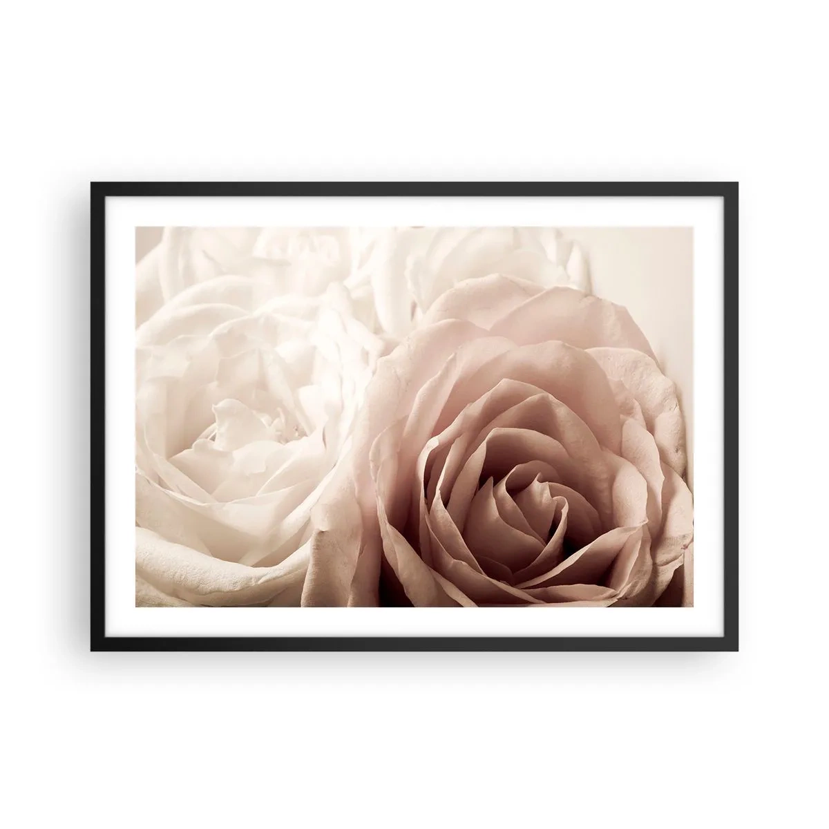 Poster in einem schwarzem Rahmen - Zarte Rosen in pastelligen Beigetönen - 70x50cm - Im Herzen der Rose - Moderne Wanddekoration für Wohnzimmer und Schlafzimmer ARTTOR