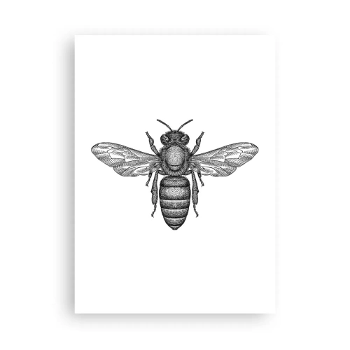Poster - Präzise Abbildung einer Biene auf weißem Hintergrund - 50x70cm - Insektenporträt - Moderne Wanddekoration für Wohnzimmer und Schlafzimmer ARTTOR
