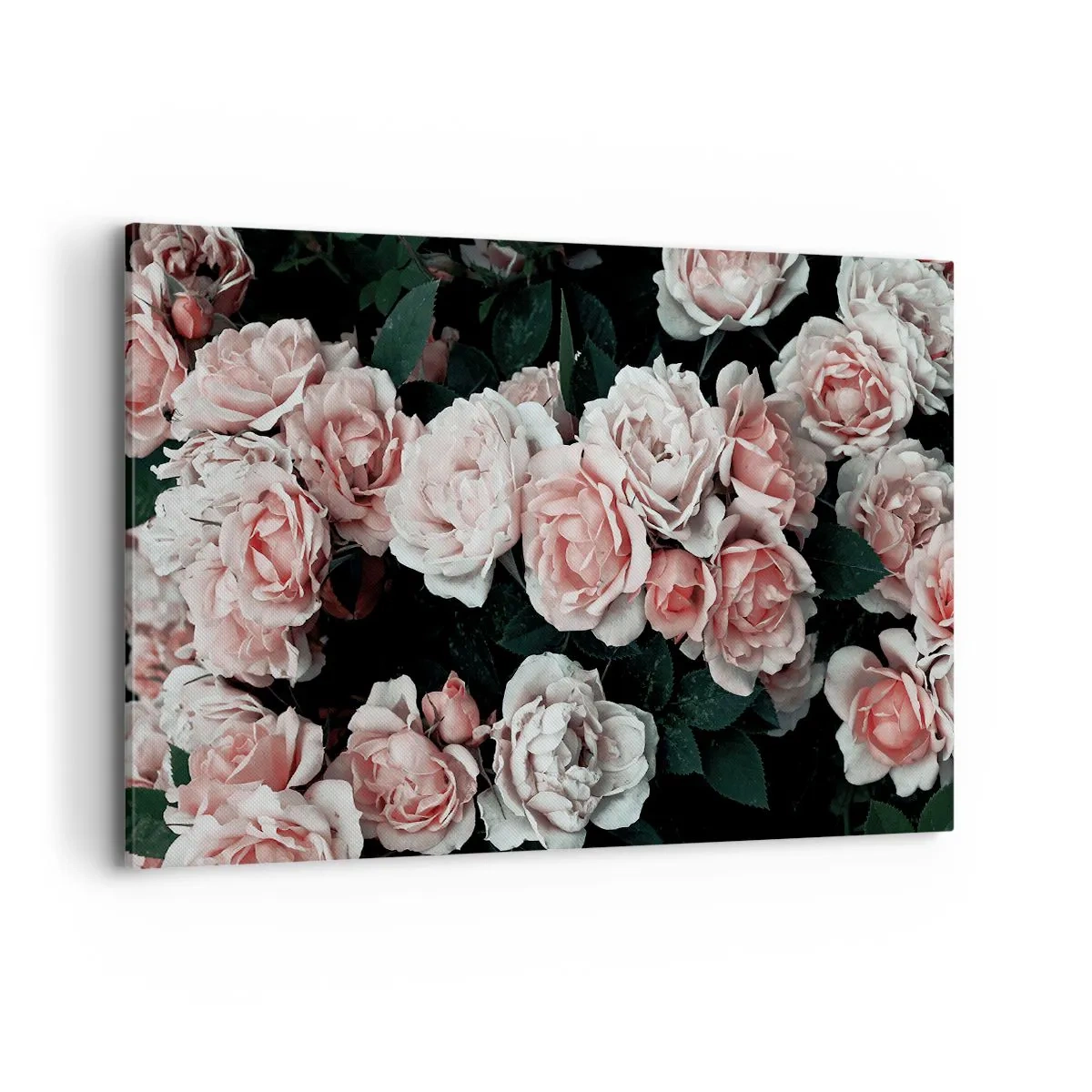 Bild auf Leinwand - Leinwandbild - Rosa Rosen auf dunklem Hintergrund in einer subtilen Komposition - 120x80cm - Rosen-Ensemble - Moderne Wanddekoration für Wohnzimmer und Schlafzimmer ARTTOR