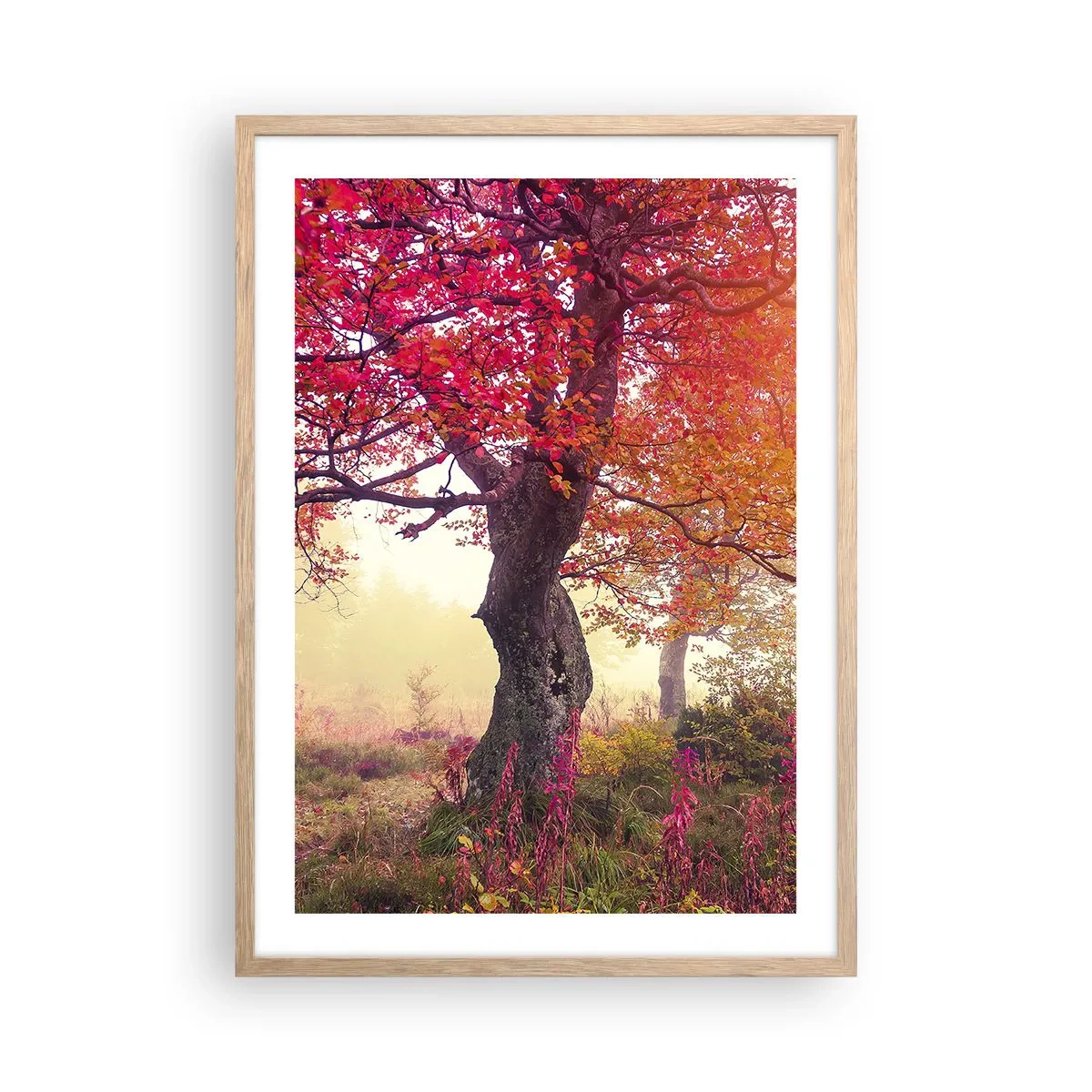 Poster in einem Rahmen aus heller Eiche - Blühende Raserei - 50x70 cm