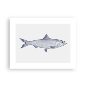 Poster - Grüße aus den nördlichen Meeren - 40x30 cm