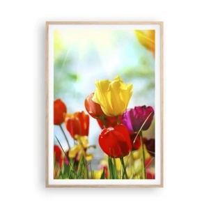 Poster in einem Rahmen aus heller Eiche - Alle Farben der Sonne - 70x100 cm
