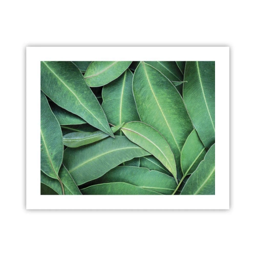 Poster - Saftig und frisch - 50x40 cm