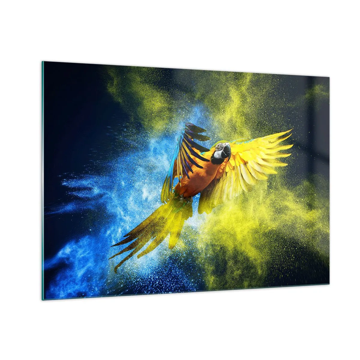 Glasbild - Bild auf glas - Ein bunter Papagei im Flug vor einem gelben und blauen Hintergrund - 100x70cm - Im blauen und goldenen Staub - Moderne Wanddekoration für Wohnzimmer und Schlafzimmer ARTTOR