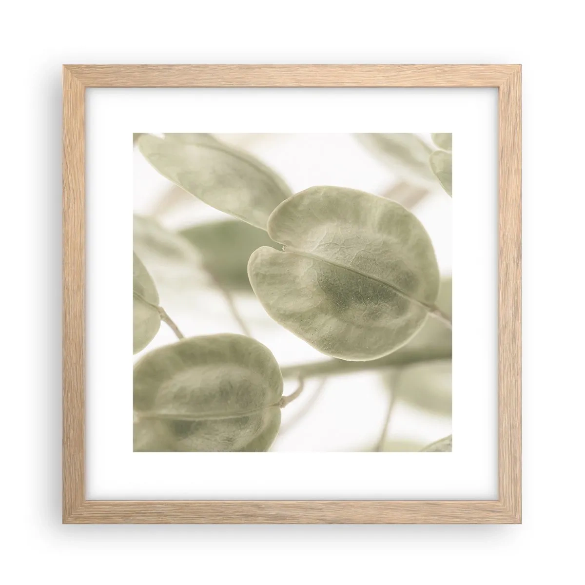 Poster in einem Rahmen aus heller Eiche - Am Anfang waren Blätter... - 30x30 cm