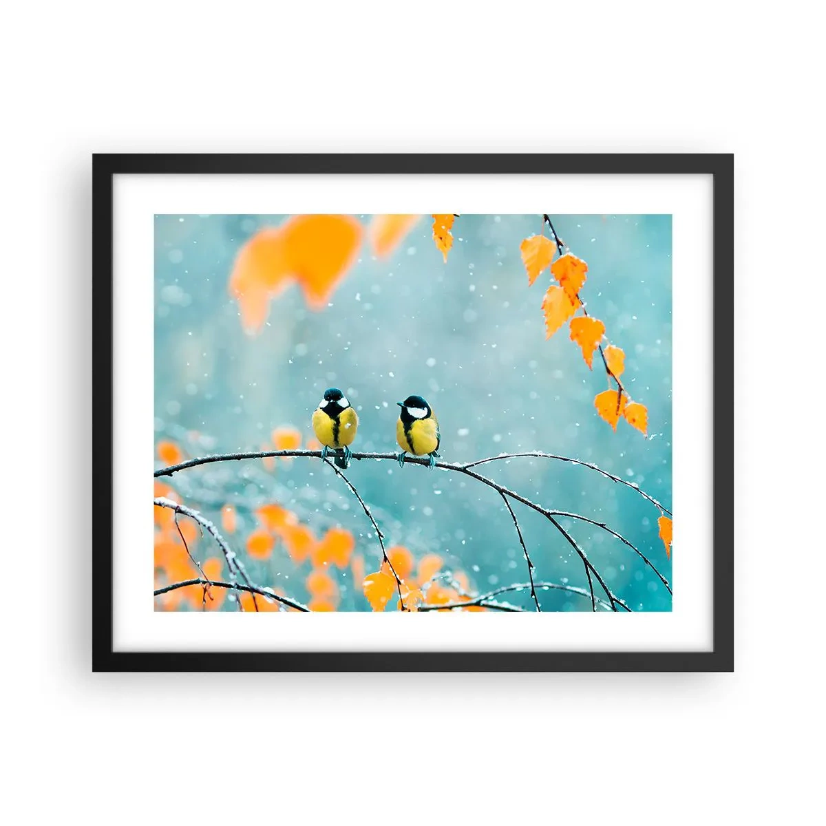 Poster in einem schwarzem Rahmen - Vogelklatsch - 50x40 cm