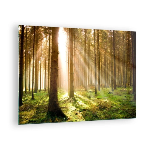 Glasbild - Bild auf glas - Sonnenstrahlen dringen durch die Bäume im Wald - 70x50cm - Die Elfen werden bald erscheinen - Moderne Wanddekoration für Wohnzimmer und Schlafzimmer ARTTOR