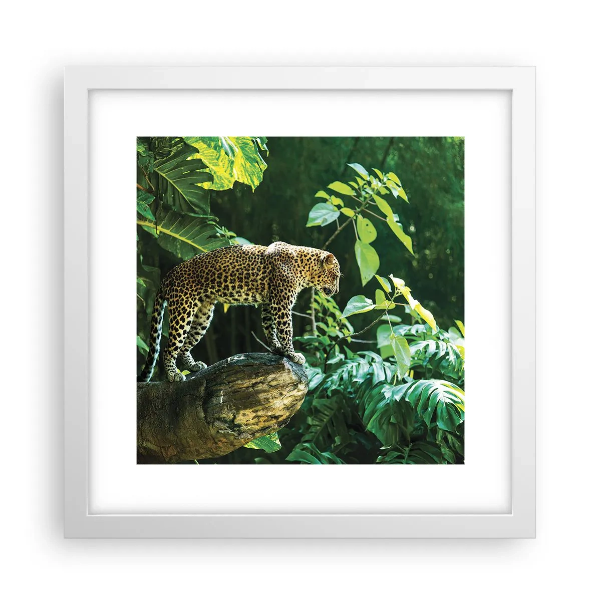 Poster in einem weißen Rahmen - Auf die Jagd? - 30x30 cm