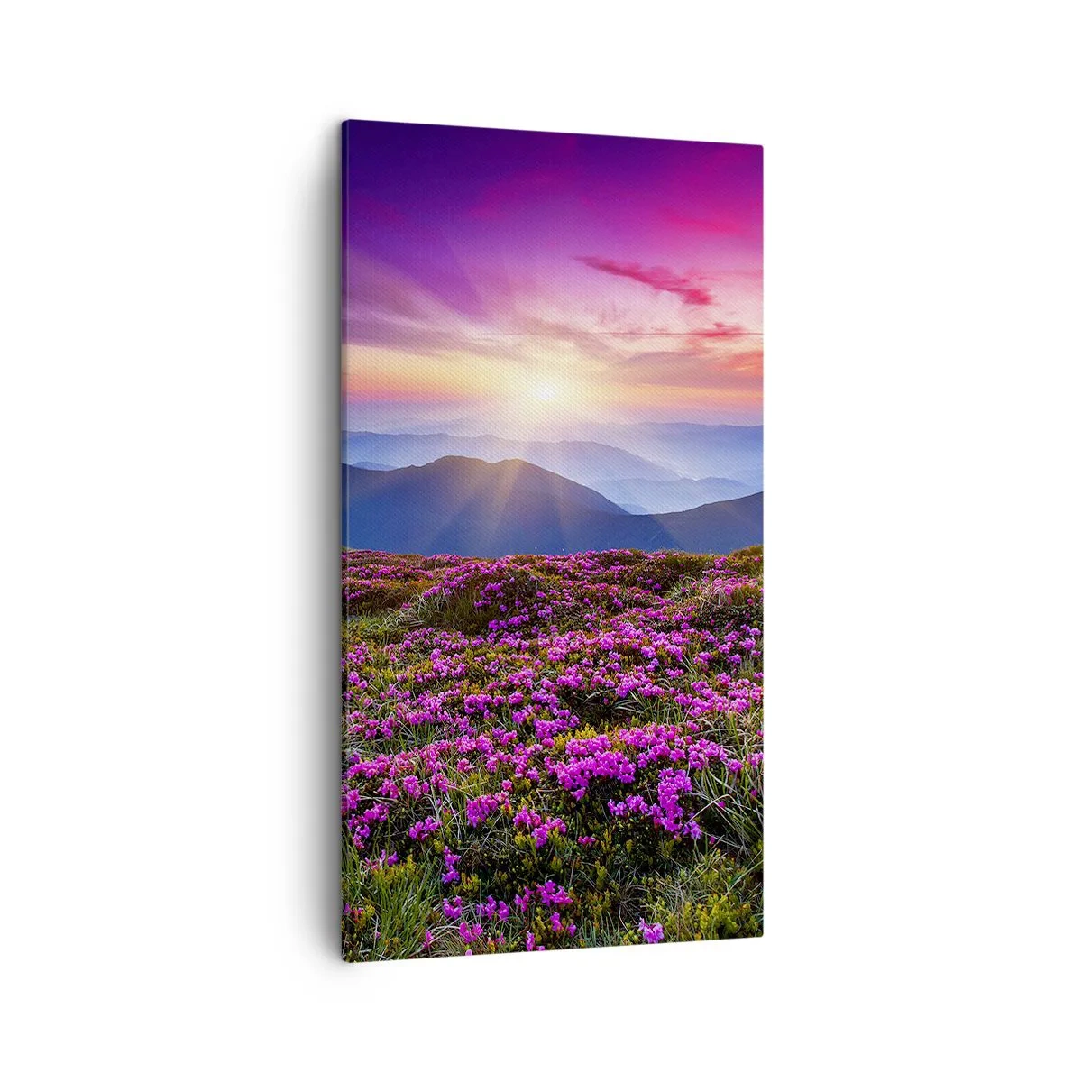 Bild auf Leinwand - Leinwandbild - Kräuter dufteten nach frischen Trauben von den Feldern - 45x80 cm