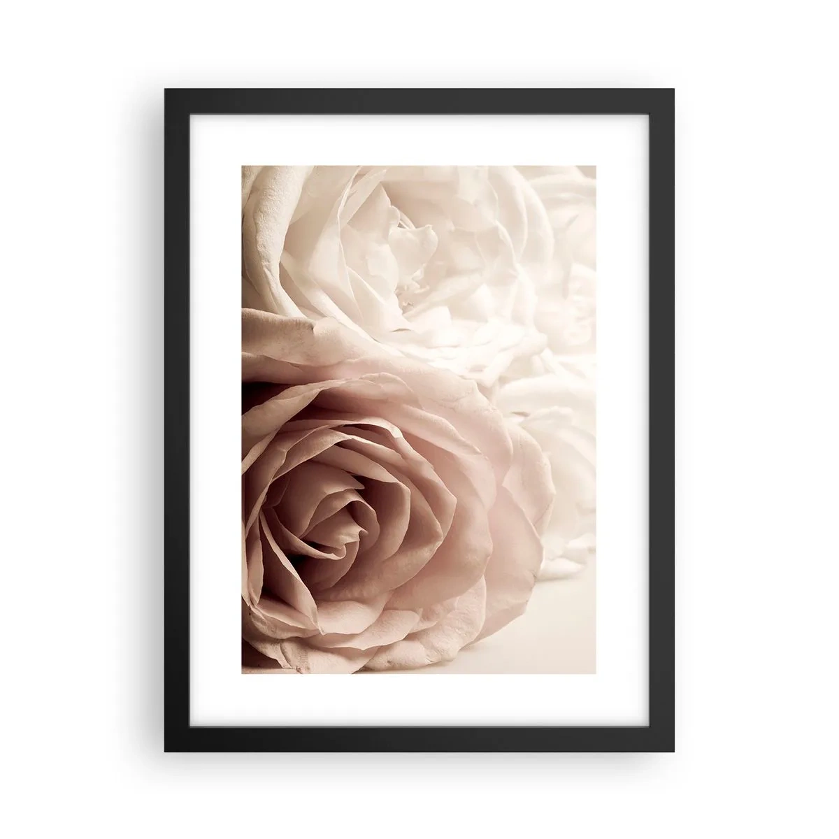 Poster in einem schwarzem Rahmen - Im Herzen der Rose - 30x40 cm