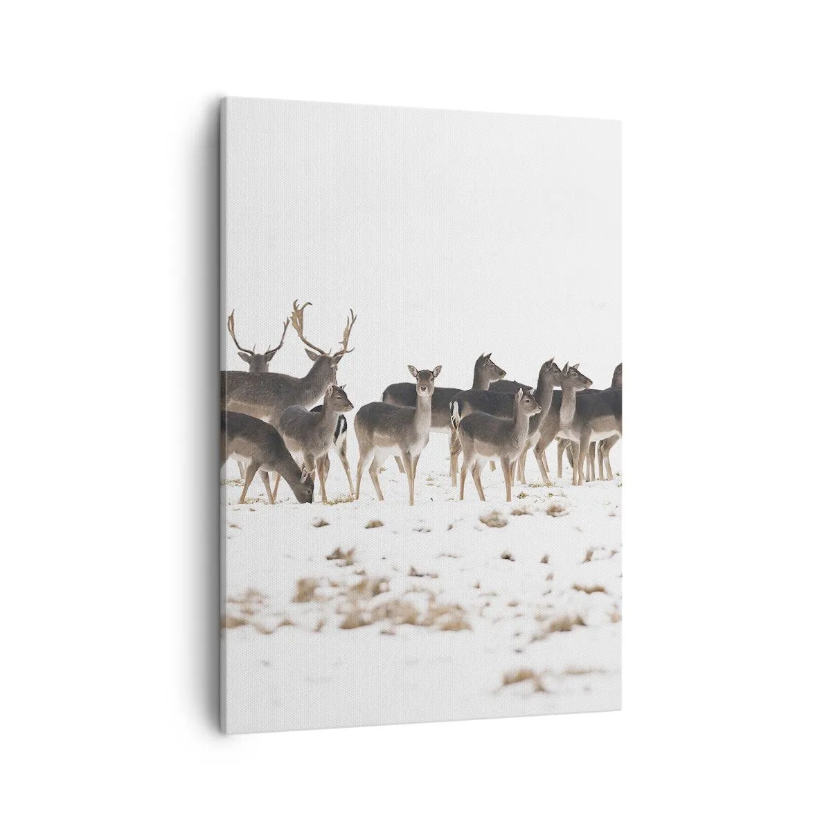 Bild auf Leinwand - Leinwandbild - Eine Herde Hirsche vor einem verschneiten Hintergrund - 50x70cm - Kommen die Weihnachten? - Moderne Wanddekoration für Wohnzimmer und Schlafzimmer ARTTOR