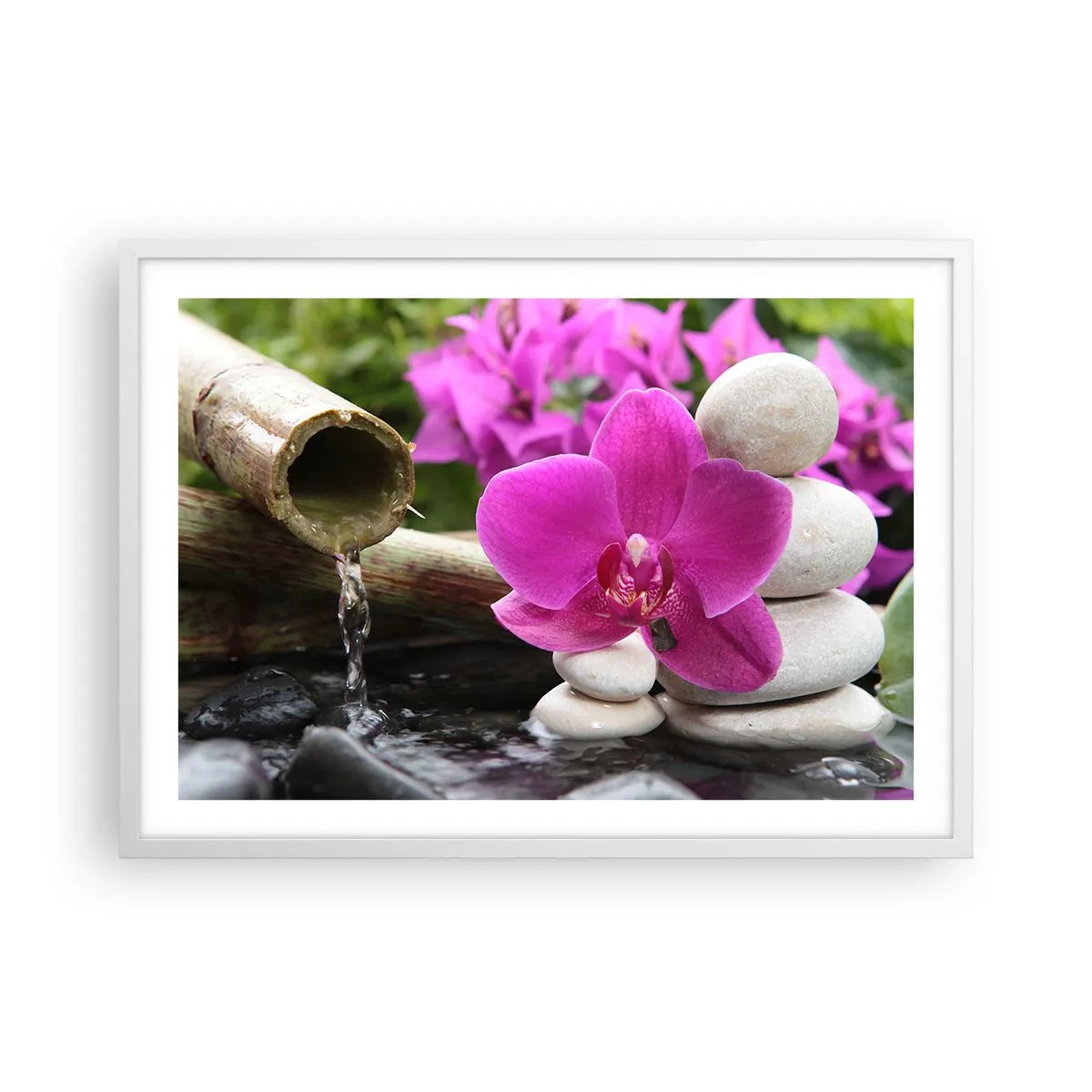 Poster in einem weißen Rahmen - Du ruhst dich schon aus - 70x50 cm