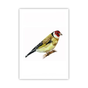 Poster - Vogelporträt - 70x100 cm