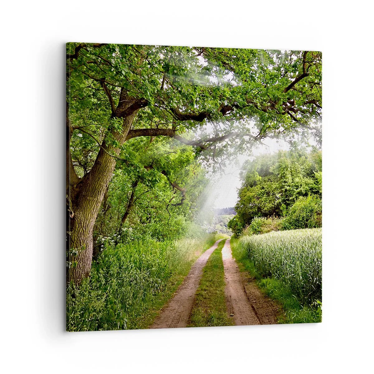 Bild auf Leinwand - Leinwandbild - Et in Arcadia ego - 50x50 cm