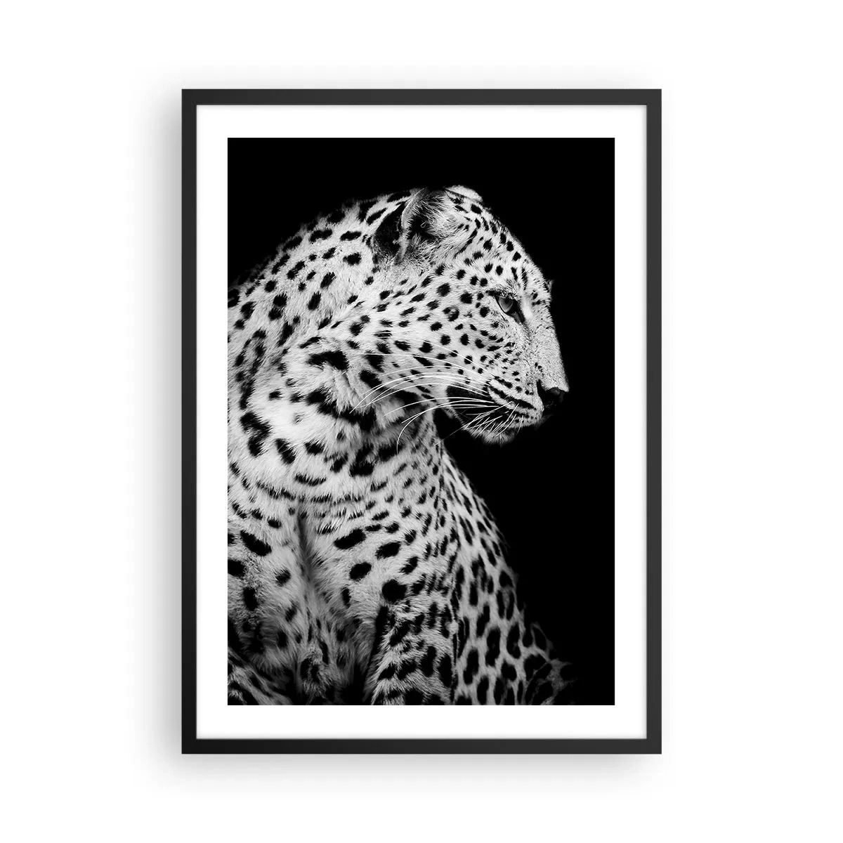 Poster in einem schwarzem Rahmen - Schwarz-Weiß-Porträt eines Leoparden auf schwarzem Hintergrund - 50x70cm - Rechtes Profil perfekt! - Moderne Wanddekoration für Wohnzimmer und Schlafzimmer ARTTOR
