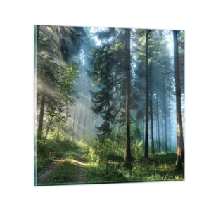 Glasbild - Bild auf glas - Strahlend am Morgen - 30x30 cm