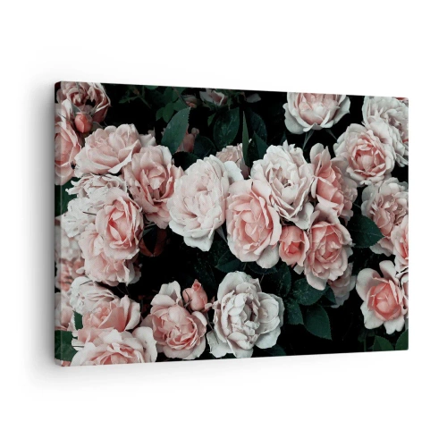 Bild auf Leinwand - Leinwandbild - Rosa Rosen auf dunklem Hintergrund in einer subtilen Komposition - 70x50cm - Rosen-Ensemble - Moderne Wanddekoration für Wohnzimmer und Schlafzimmer ARTTOR