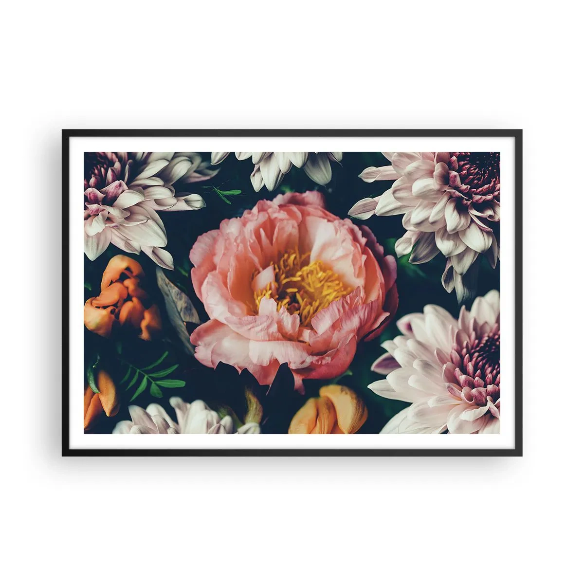 Poster in einem schwarzem Rahmen - Blumenarrangement mit Pfingstrosen und Chrysanthemen auf dunklem Hintergrund - 100x70cm - Mit barocker Pracht - Moderne Wanddekoration für Wohnzimmer und Schlafzimmer ARTTOR