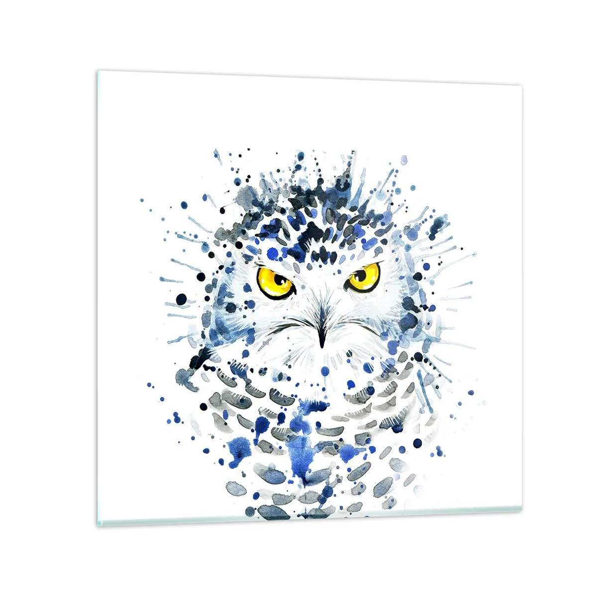 Glasbild - Bild auf glas - Direkt in die Augen - 70x70 cm