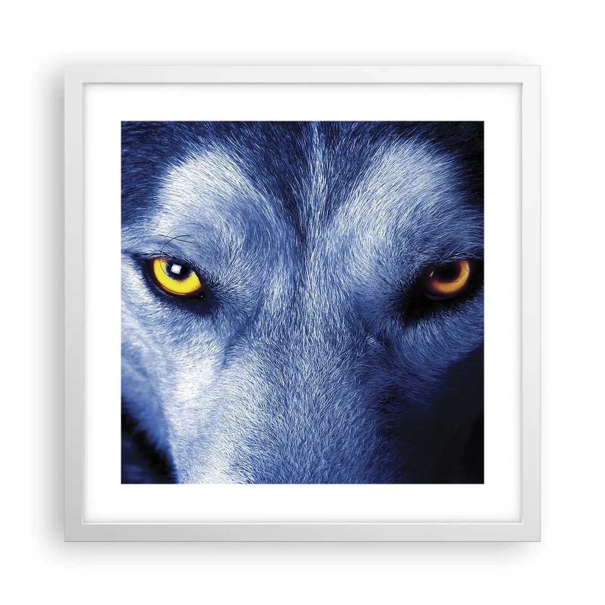 Poster in einem weißen Rahmen - Faszinierender Blick - 40x40 cm