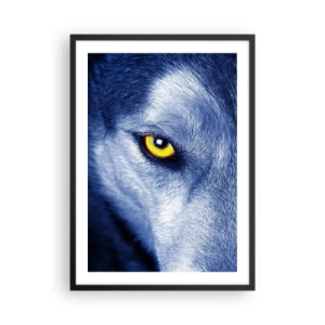 Poster in einem schwarzem Rahmen - Eine Nahaufnahme des gelben Auges eines Wolfes in einem Blauton - 50x70cm - Faszinierender Blick - Moderne Wanddekoration für Wohnzimmer und Schlafzimmer ARTTOR