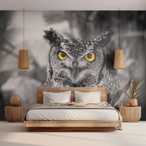 Fototapete Premium Sand - Eine schwarz-weiße Eule mit intensiv gelben Augen - 100x70cm - Nichts wird sich verstecken - Moderne Wanddekoration für Wohnzimmer und Schlafzimmer ARTTOR